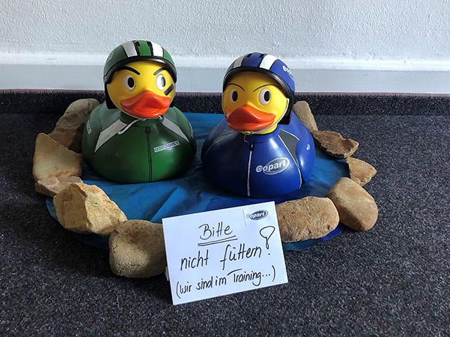 duck race copart